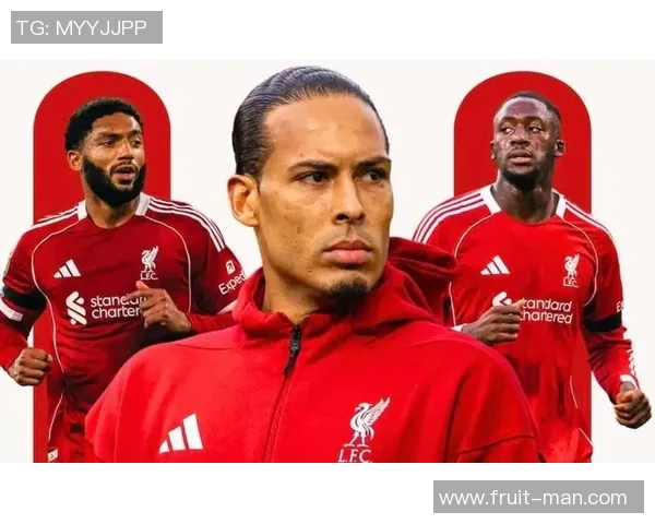 数据揭示：范戴克本赛季表现起伏不定