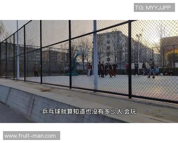 体育文化差异解析：中美对比